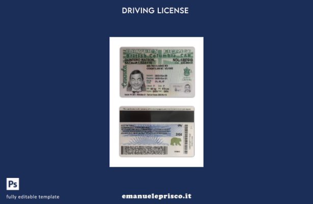 verified style modello presente patente di guida Canada British Columbia stile verificato template
